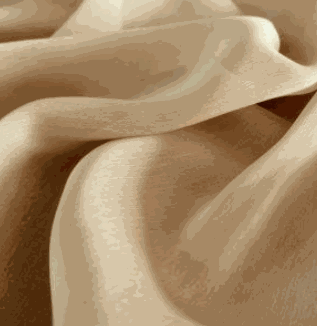 PANACEA larga champagne